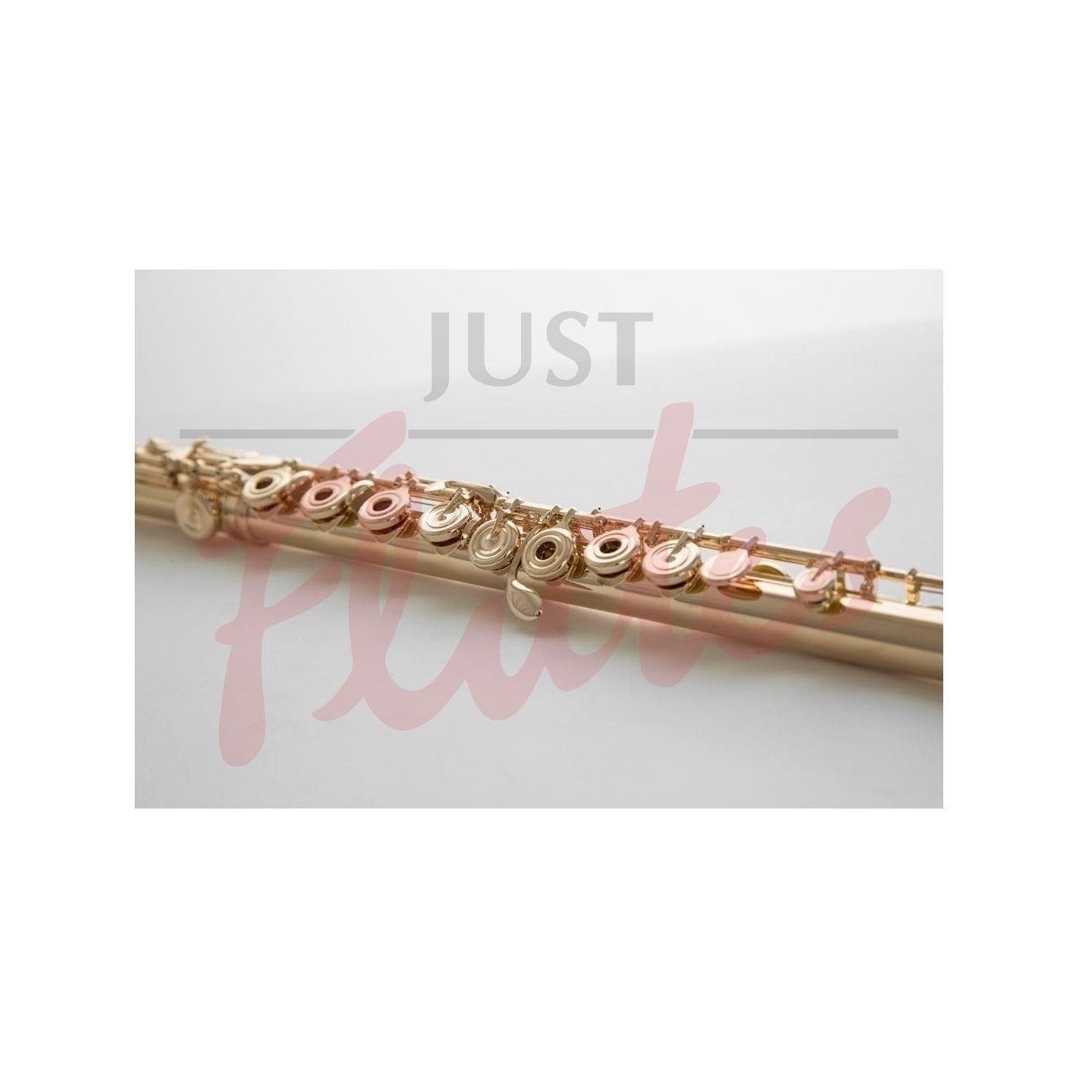 altus flute model 1707ps