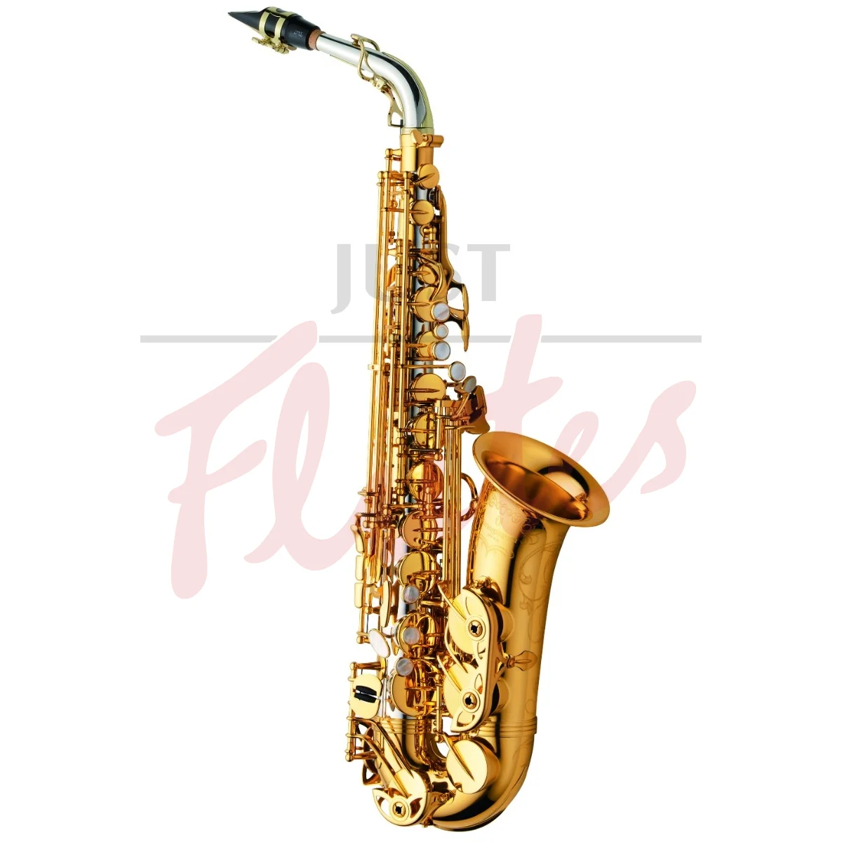 Yanagisawa AWO30 Alto Saxophone