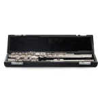 Image links to product page for Haynes Amadeus AF580SE-CO Flute