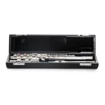 Image links to product page for Di Zhao Boston DZ-301CEF Flute