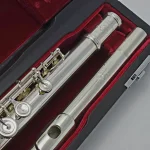 Image links to product page for Di Zhao Boston DZ-D-SP BEFC Flute