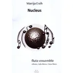 Image links to product page for Nucleus for Flute Ensemble