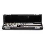 Image links to product page for B-Stock Haynes Amadeus AF780SE-CO Flute