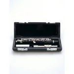 Image links to product page for Di Zhao DZP-101 Piccolo