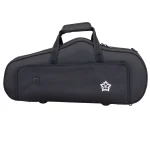 Image links to product page for Rosetti Star Alto Saxophone Lightweight Case, Black