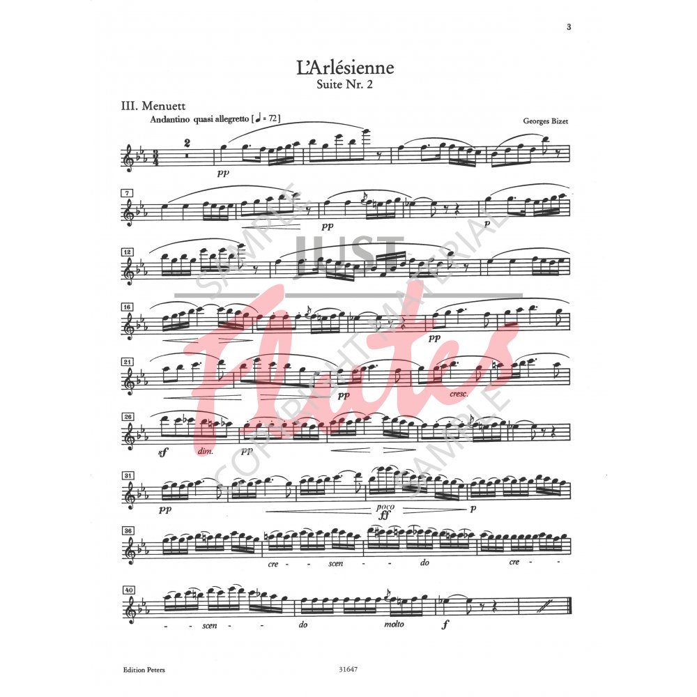 Christoph Dürichen: Orchester-Probespiel: Test Pieces for Orchestral  Auditions for Flute and Piccolo